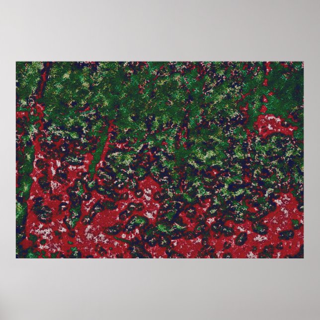Póster 2 b004 AUTUMNfoliagedifcanvasartb- (Frente)