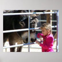 2 burros en Jackalope Santa Fe NM