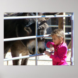 Póster 2 burros en Jackalope Santa Fe NM