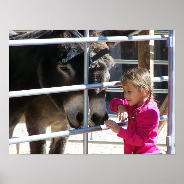 Póster 2 burros en Jackalope Santa Fe NM (Frente)