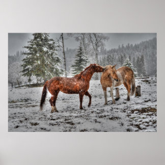 Póster 2 Caballos de Rancho Amigables, Dun, foto de pintu