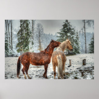 Póster 2 Caballos de Rancho Amigables, Dun, foto de pintu