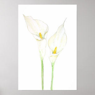 Póster 2 color de lila blanca