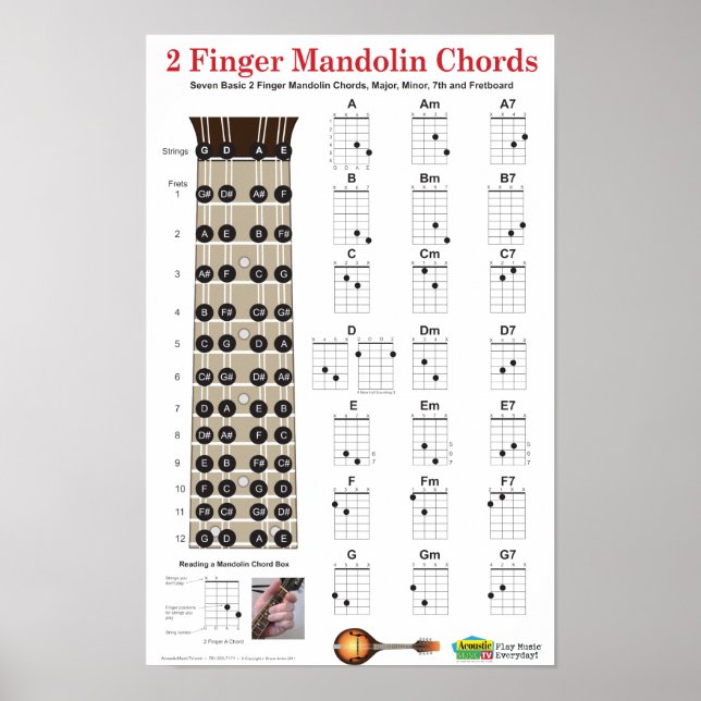 Póster 2 Cuadros Mandolin y Fretboard (Frente)