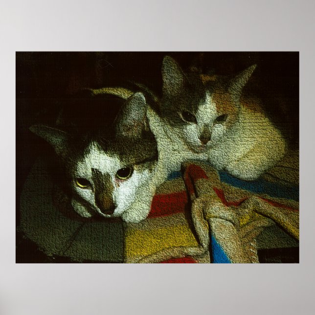 Póster 2 Curious Kits (Frente)