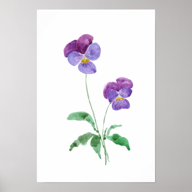 Póster 2 pequeñas pansitas moradas acuarela (Frente)