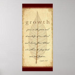 Póster 2 Peter 3:18