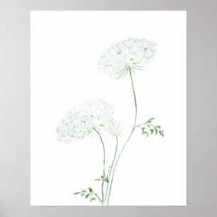 Póster 2 pintura acuática blanca Queen Ann Lace