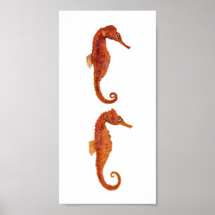 Póster 2 Seahorses
