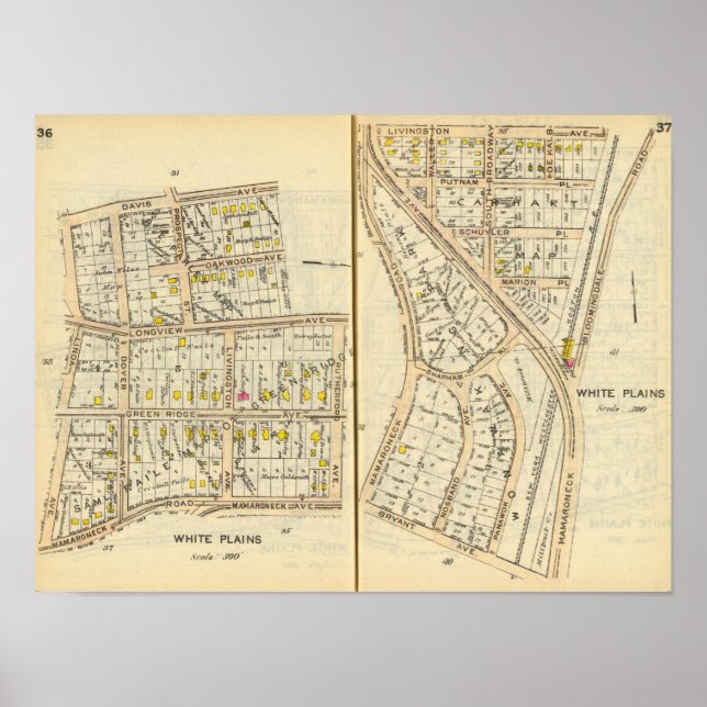 Póster 36-37 Llanuras Blancas (Frente)