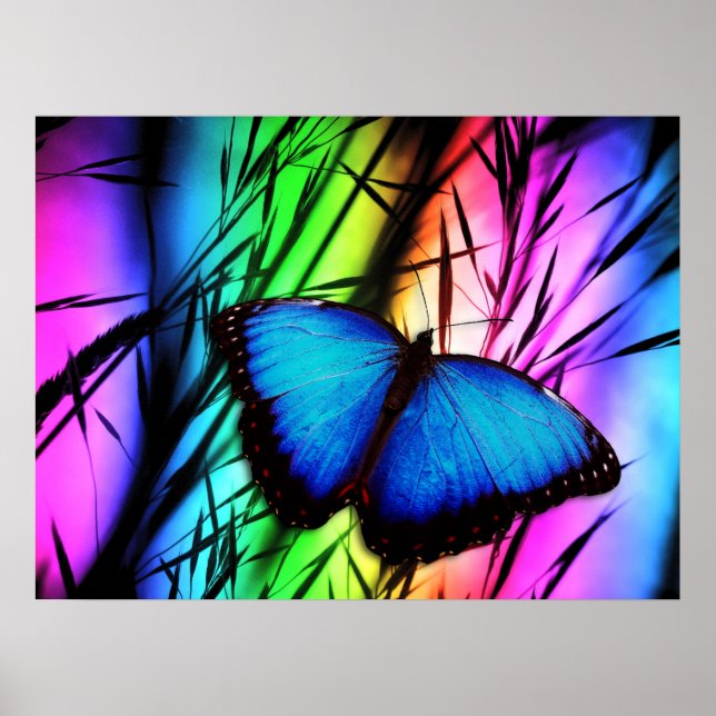 PÓSTER 370729 RAINBOW DIGITAL BUTTERFLY REALISM BACKGROUN (Frente)