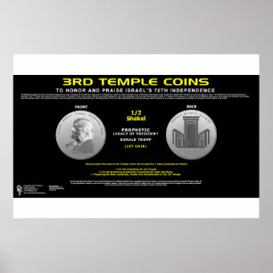 Póster 3.ª Moneda del Templo 1