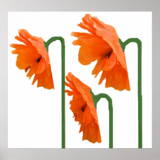 Póster 3 amapolas