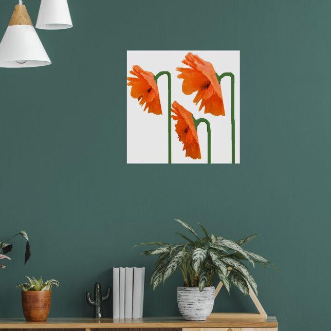 Póster 3 amapolas (Salón 1)