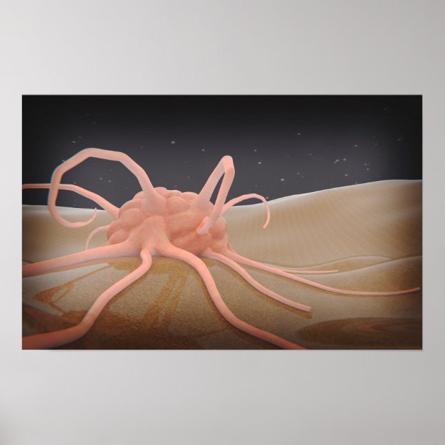 Póster 3 D Renderización De La Fhagocitosis Macrofóbica (Frente)