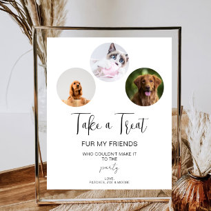 Póster 3 Partido de la Boda Mascota favorece el tratamien