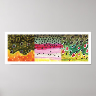 Póster 3 Pieles de trucha: Brook, Rainbow, Brown - Pesca