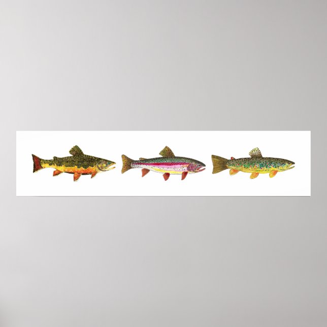 Póster 3 trucha - Brook, Brown, Rainbow Long Hoirzontal (Frente)