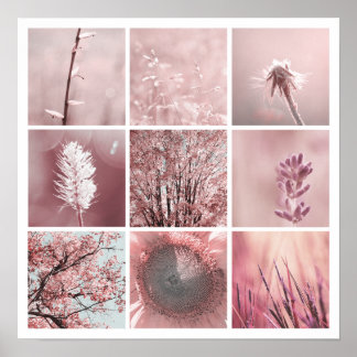 Póster 3x3 fotos rosas Imprimir