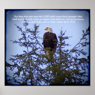 Póster 40:31 de Isaías