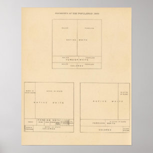 Póster 41 Elementos de la población 1900
