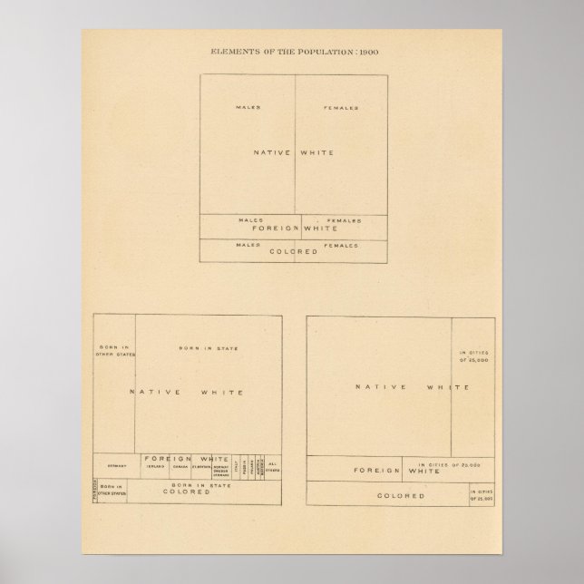 Póster 41 Elementos de la población 1900 (Frente)