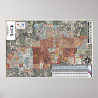 Póster 42nd Illinois House District - 2008 General