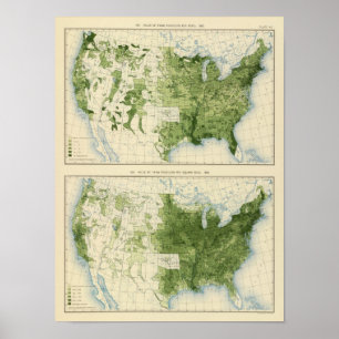 Póster 45 Productos agrícolas de valor 1890