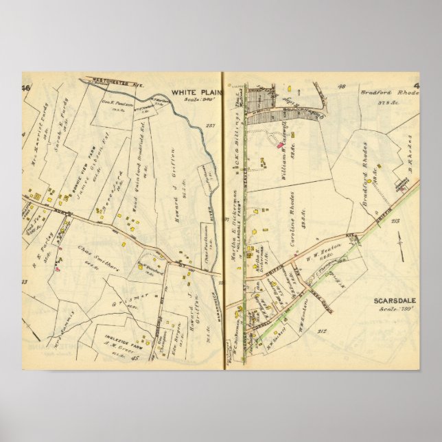 Póster 46-47 Llanuras Blancas, Scarsdale (Frente)
