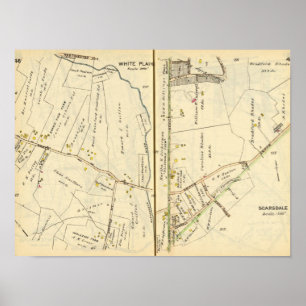 Póster 46-47 White Plains, Scarsdale