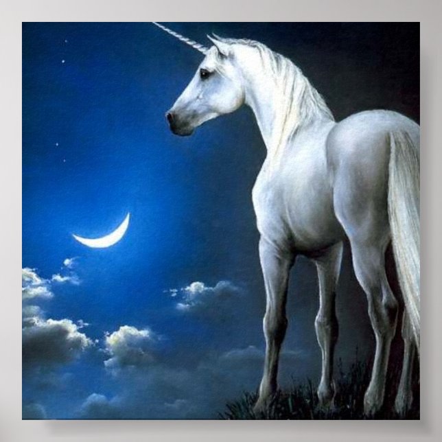 Póster 471920o2ysy6fwpu (Frente)