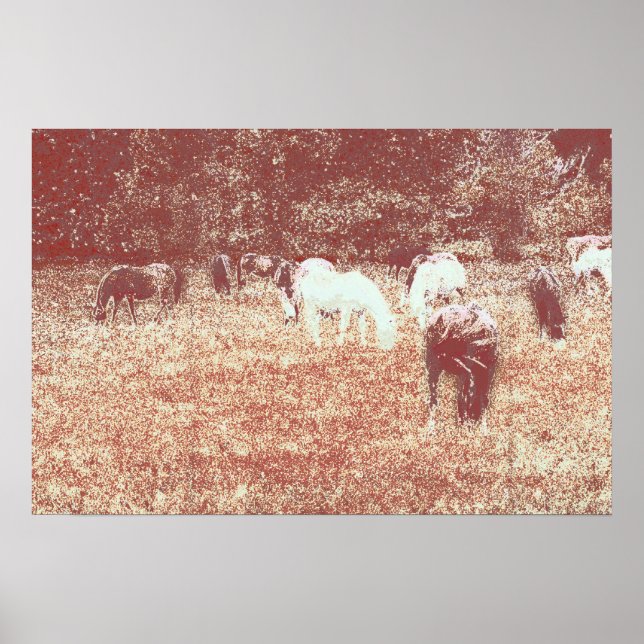 Póster 49 quater (Frente)