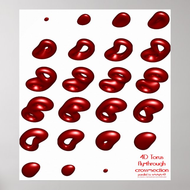 Póster 4.ª sección transversal de vuelo de torus (Frente)