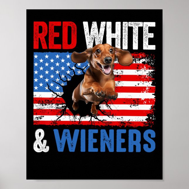 Póster 4 De Julio Dachshund Camisa De Perro Blanco Rojo Y (Frente)
