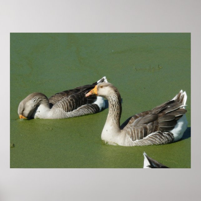 Póster 4 de marzo (51) Lienzo (Frente)