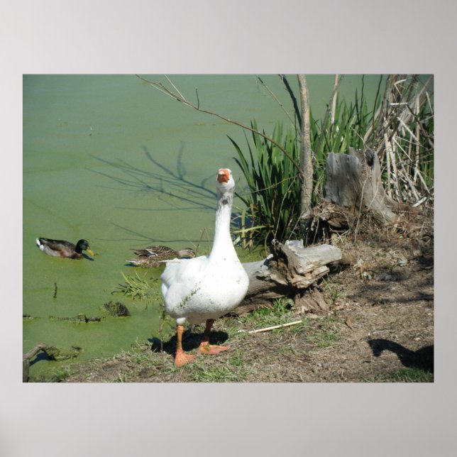 Póster 4 de marzo (62) Lienzo (Frente)