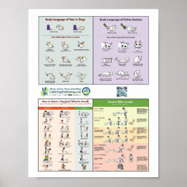 Póster 4 en 1 Poster