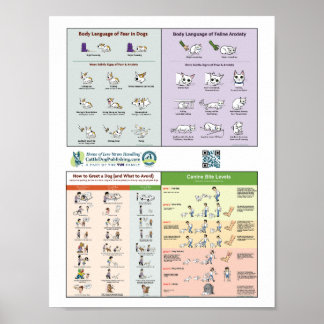 Póster 4 en 1 Poster