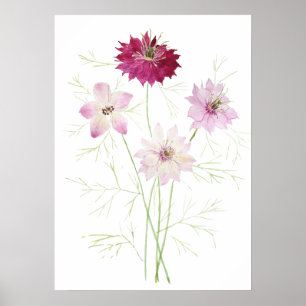 Póster 4 flores de flores de nigella de magenta rosa