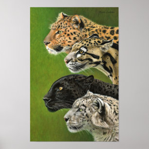 Póster 4 leopardos