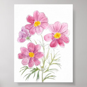 Póster 4 magenta cosmos color de la flor y la acuarela