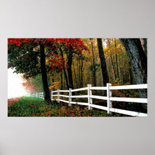 Póster 4b oil detailed