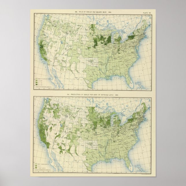 Póster 50 Barley 1890 (Frente)
