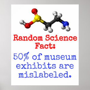 Póster 50 Por Ciento De Exposiciones De Museo - Hecho De 