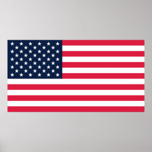Póster 50 Star Flag United States of America