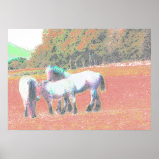 PÓSTER 53