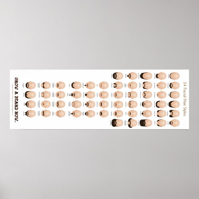 Póster 54 Estilos De Cabello Facial (Frente)
