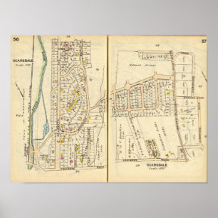 Póster 5657 Scarsdale