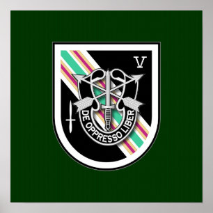 PÓSTER 5.º SFG-A 6 TFD