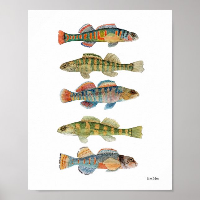 Póster 5 Dardos de agua dulce (Frente)
